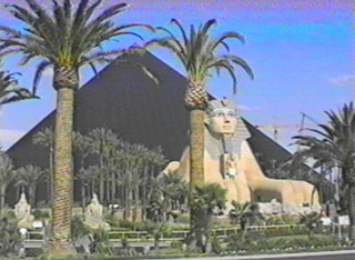 [ Luxor Casino ]